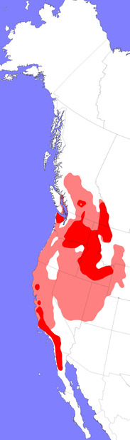 Sample Completed Range Map Sample Completed Range Map