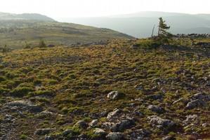 Lower Arctic Zone Lower Arctic Zone