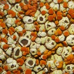 Acarospora stapfiana