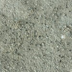 Aspicilia cuprea