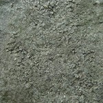 Aspicilia cyanescens