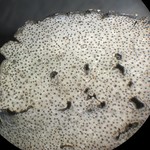 Dermatocarpon moulinsii