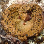 Lasallia papulosa