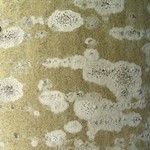 Lecania dubitans