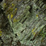 Lecanora anakeestiicola