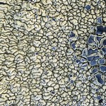 Lecanora garovaglii