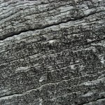 Lecanora hypoptoides