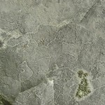 Lecanora oreinoides