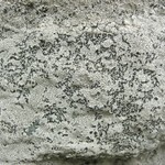 Lecanora oreinoides