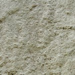 Lepraria neglecta
