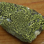 Rhizocarpon viridiatrum