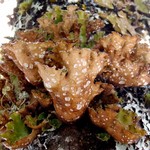 Sticta wrightii