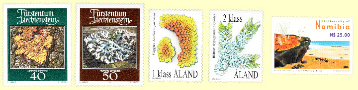 Stamps in this article may be shown larger or smaller than actual.